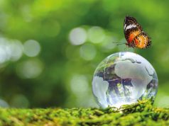 A Föld válaszol a globális felmelegedésre