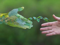 Az energiamegtakarítás lehetőségei