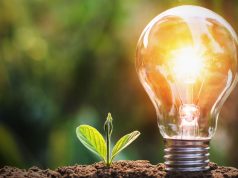 Milyen a zöld gondolkodás?